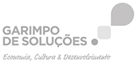 garimpo-de-solucoes